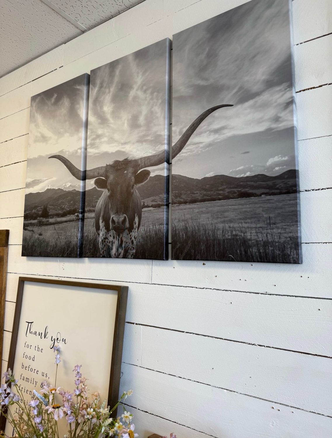 Longhorn Photo