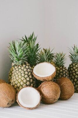 Island Breeze Scent Tiles