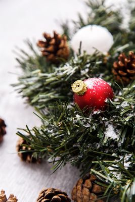 Mistletoe Kisses