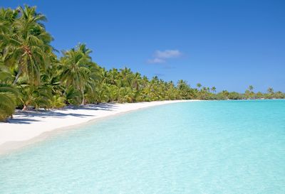 Laguna Breeze