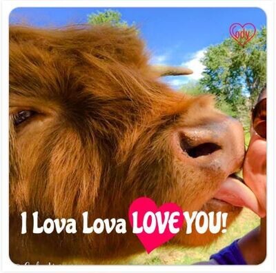 2-inch Cody&#39;s &quot;Coos&quot; Refrigerator Magnets - 2 per set.