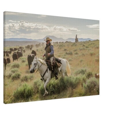 28x40 Canvas. Authentic Western Landscape