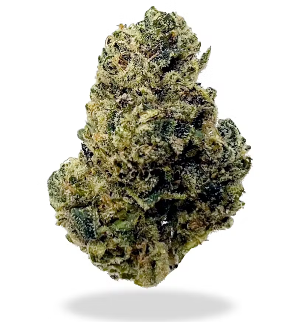 Lemon Tree (Sativa)