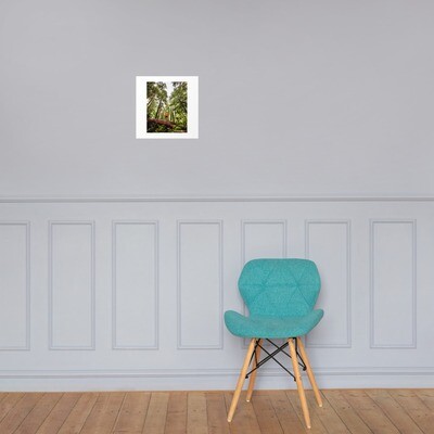  Forest of trees Photo paper poster