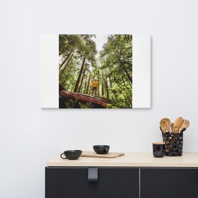 A Forest of trees on Canvas