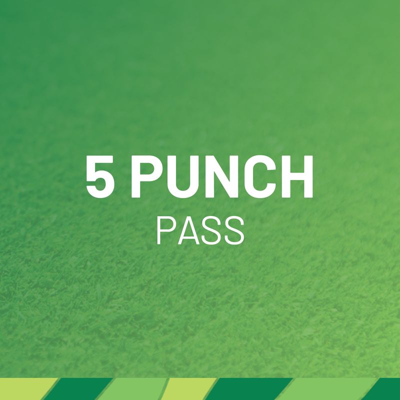 5 Punch Pass: 18 Holes