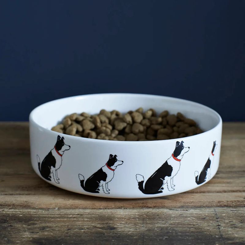 Dog Bowl by Sweet William Designs