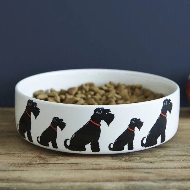 Dog Bowl by Sweet William Designs