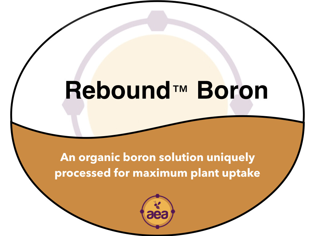 ReBound™ Boron 5 gal