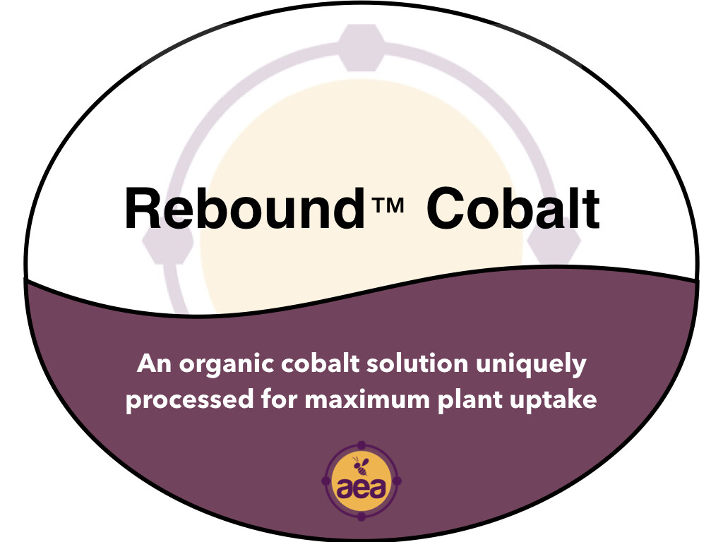 ReBound™ Cobalt 55 gal