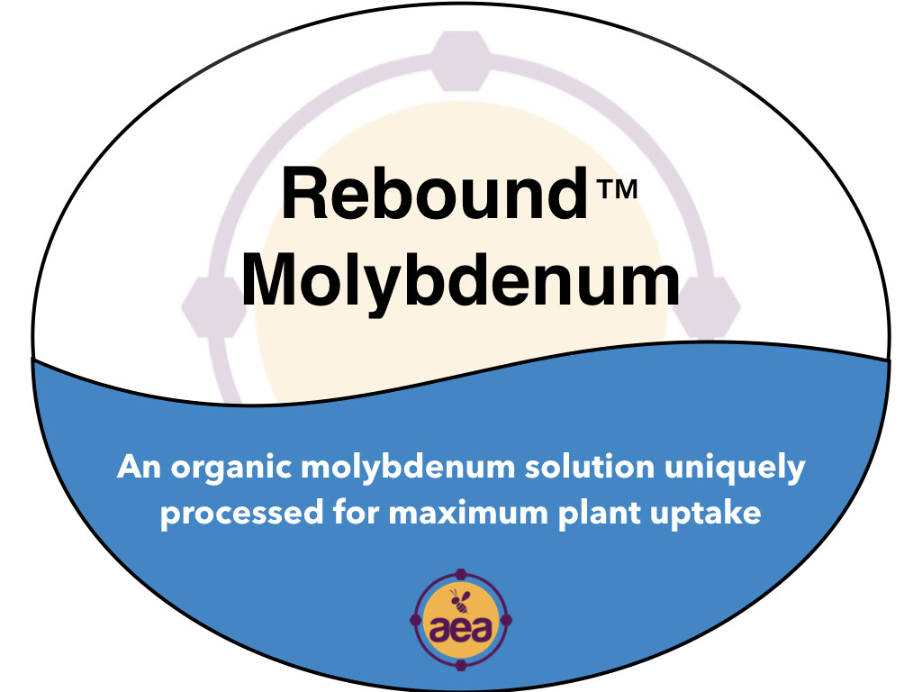 ReBound™ Molybdenum 1 gal