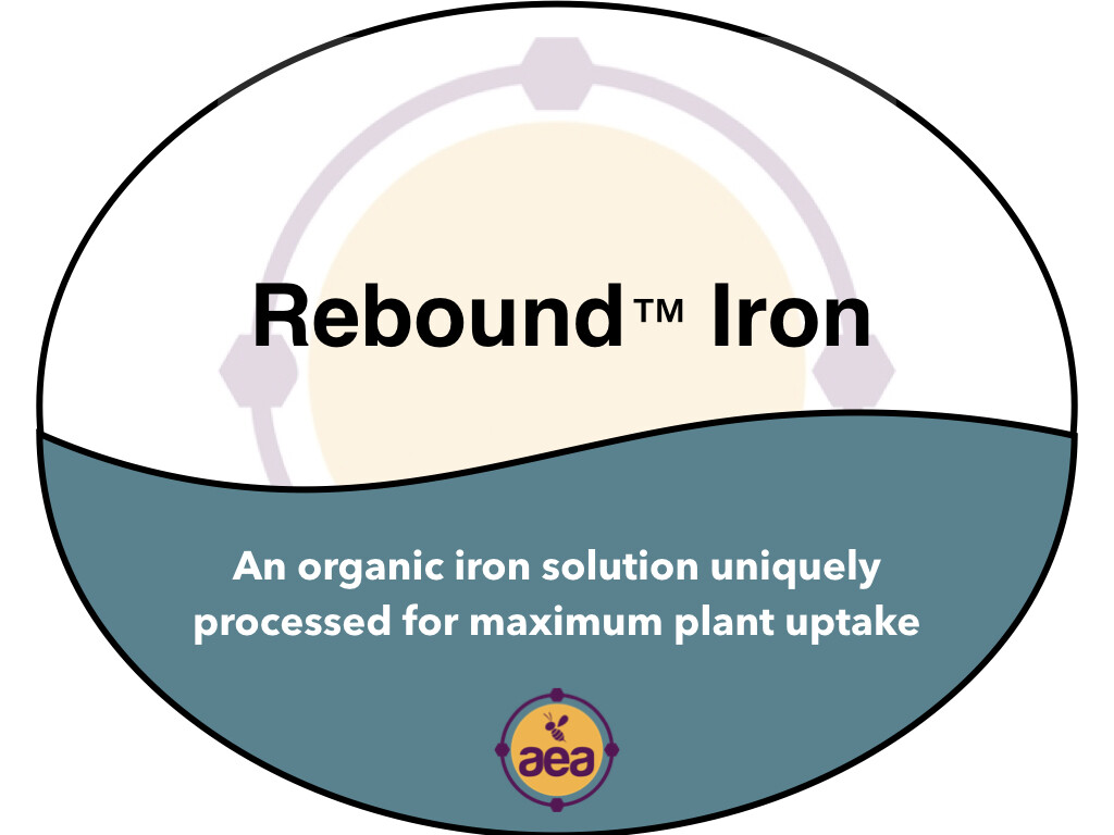 ReBound™ Iron 1 gal