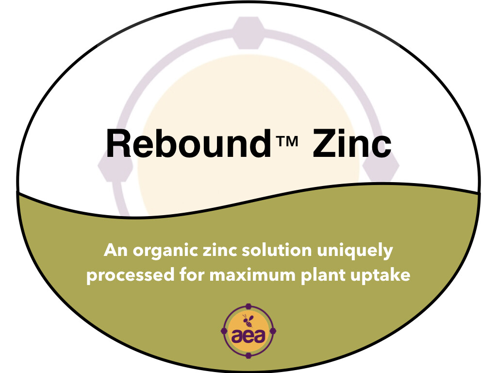 ReBound™ Zinc 1 gal