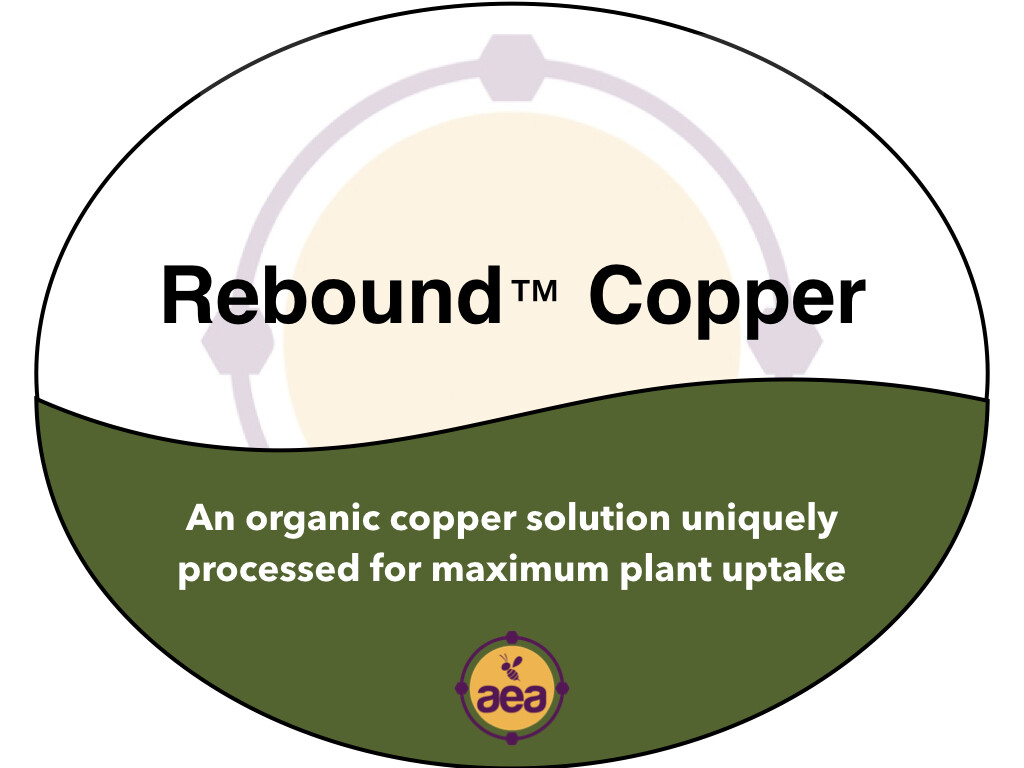 ReBound™ Copper 30 gal