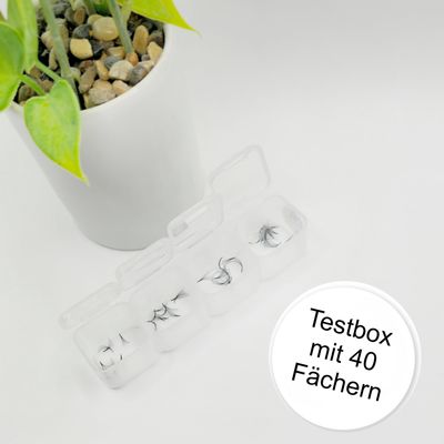 Fertigfächer Testbox mit 4 Längen