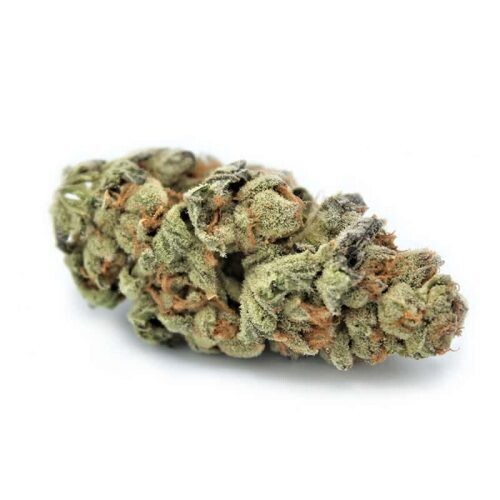 Super Buff Cherry THCA Flower 27.53%
Tropicana Cherries crossed with Blockberry Super Boof, a hybrid strain, boasts a THCA content of 27.53%.