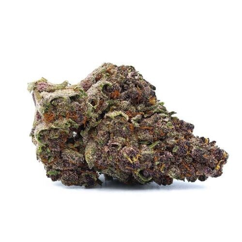 🔍
No-Drama-Llama-Strain-THCA-Flower-Bulk
NO Drama Llama 30.1% THCA
$37.00 – $242.00
– Genetics: Gorilla Skunk x Super Boof
– Indica Dominant Hybrid
– THCA potency: 30.1%
– Flavor profile: Unique fu 🔍
No-Drama-Llama-Strain-THCA-Flower-Bulk
NO Drama Llama 30.1% THCA
$37.00 – $242.00
– Genetics: Gorilla Skunk x Super Boof
– Indica Dominant Hybrid
– THCA potency: 30.1%
– Flavor profile: Unique fu