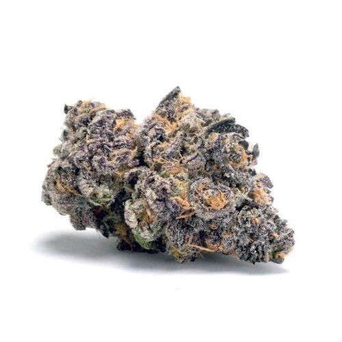 GMO Cookies THCA Flower 28.72% $37.00 – $242.00 – Gelato x Sherbert Bx1 is a well-balanced hybrid strain. – It contains a THCA level of 28.72%. GMO Cookies THCA Flower 28.72% $37.00 – $242.00 – Gelato x Sherbert Bx1 is a well-balanced hybrid strain. – It contains a THCA level of 28.72%.