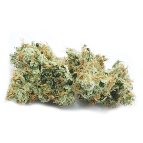 OG Chem THCA Flower 28.79%. $37.00 – $242.00 Super Skunk crossed with Chemdawg, a hybrid strain, features a THCA content of 28.79- 189.00