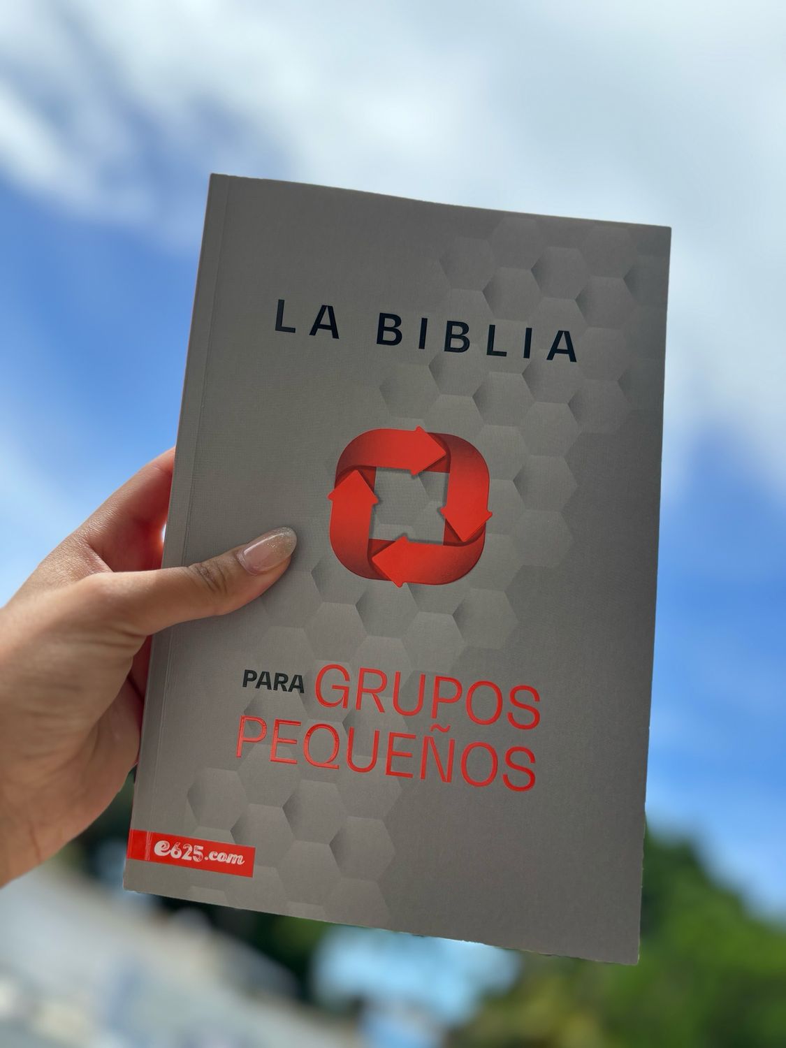 Biblia Para Grupos Pequeños