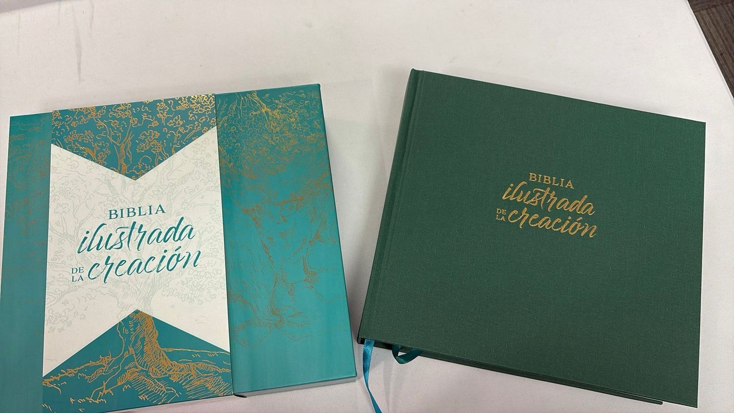 Biblia Ilustrada 