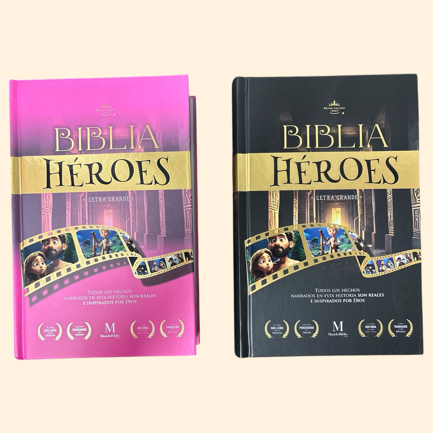 Biblia Heroes Para Niños