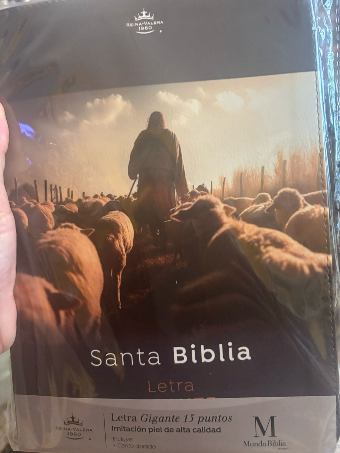 El buen Pastor 