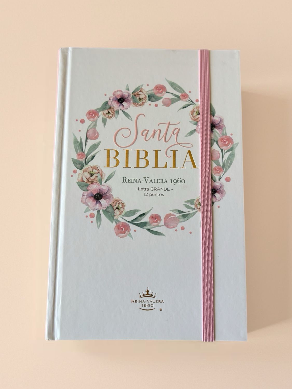 Biblia Tamaño Manual Letra Grande 