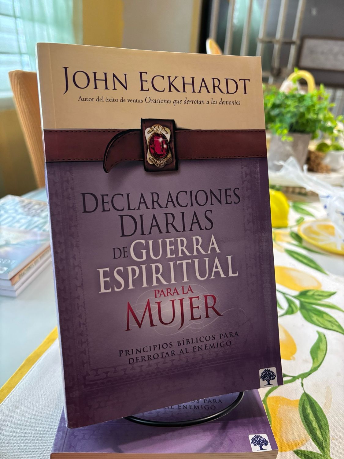 Declaraciones de la mujer DIARIA 