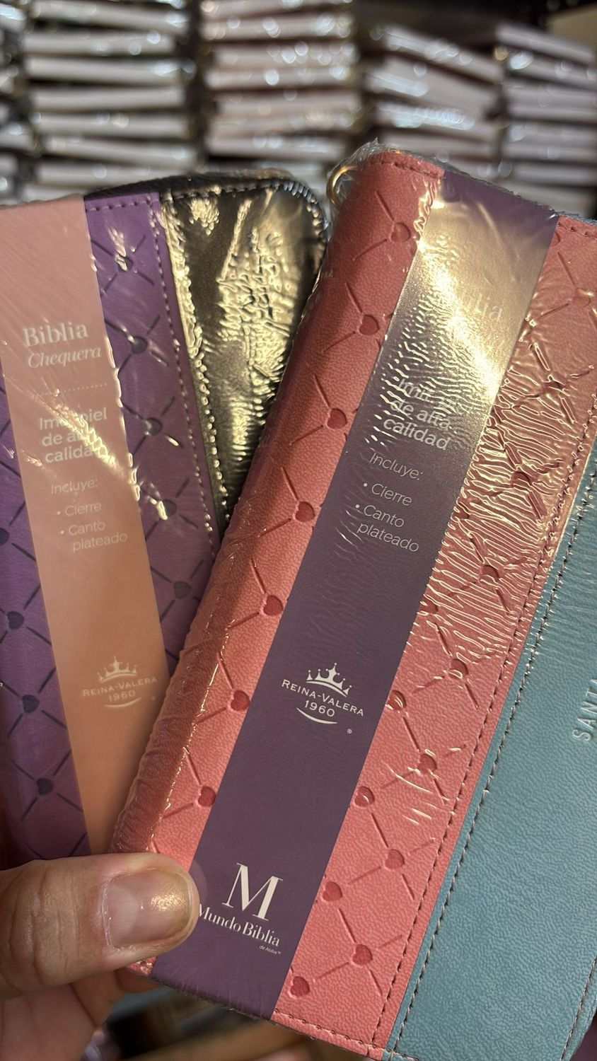 Biblia Estilo Chequera