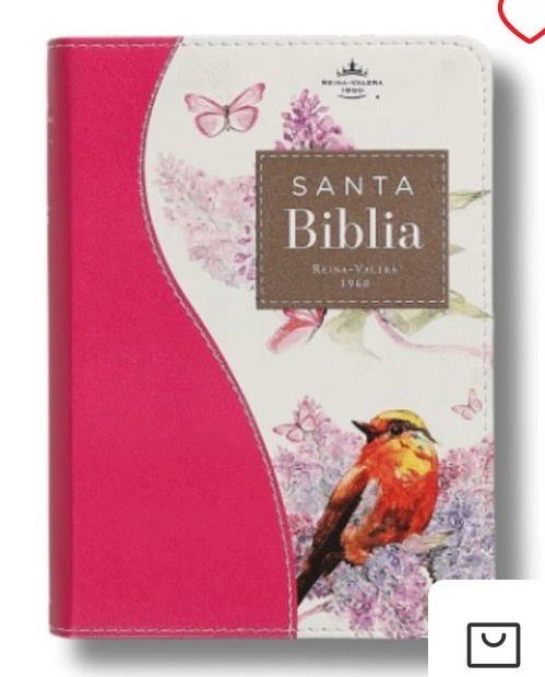 Biblia Bolsillo