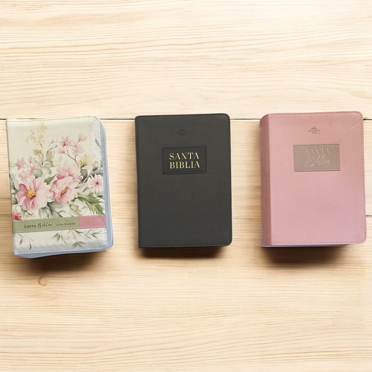 Biblia Tamaño Manual Letra Grande 