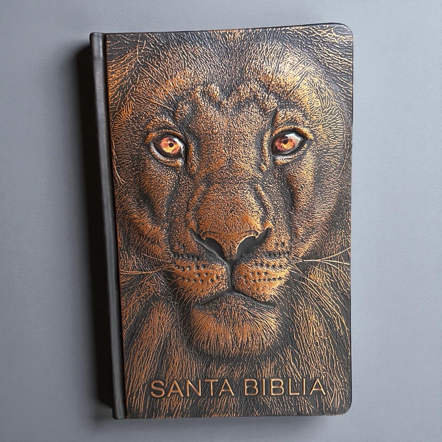 Biblia Leon Relieve