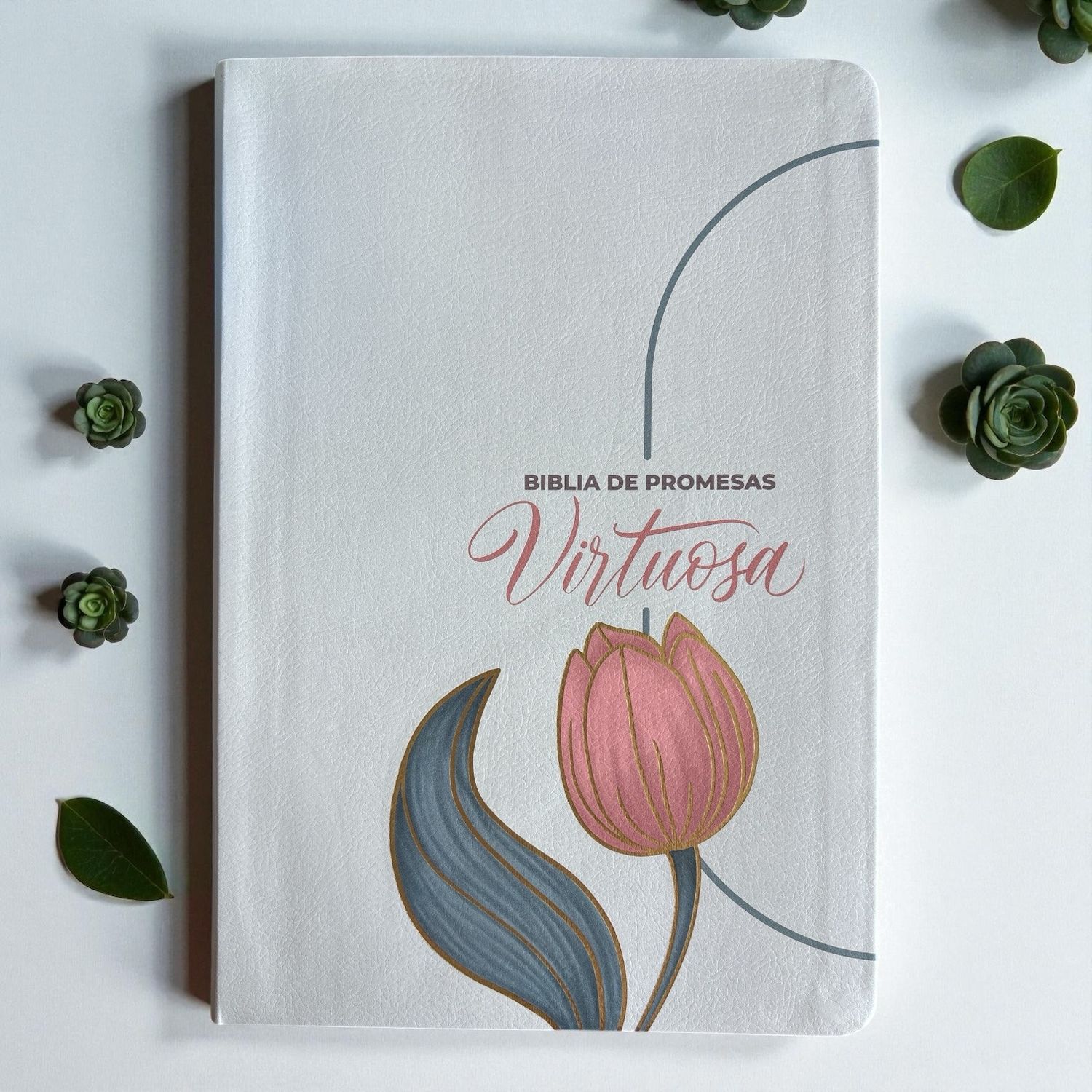 Biblia De Promesas Virtuosa