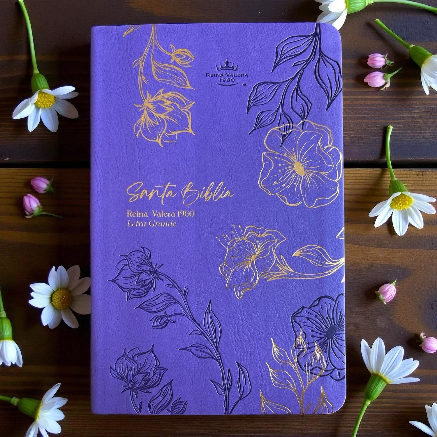 Biblia Letra Grande Tamaño Manual
