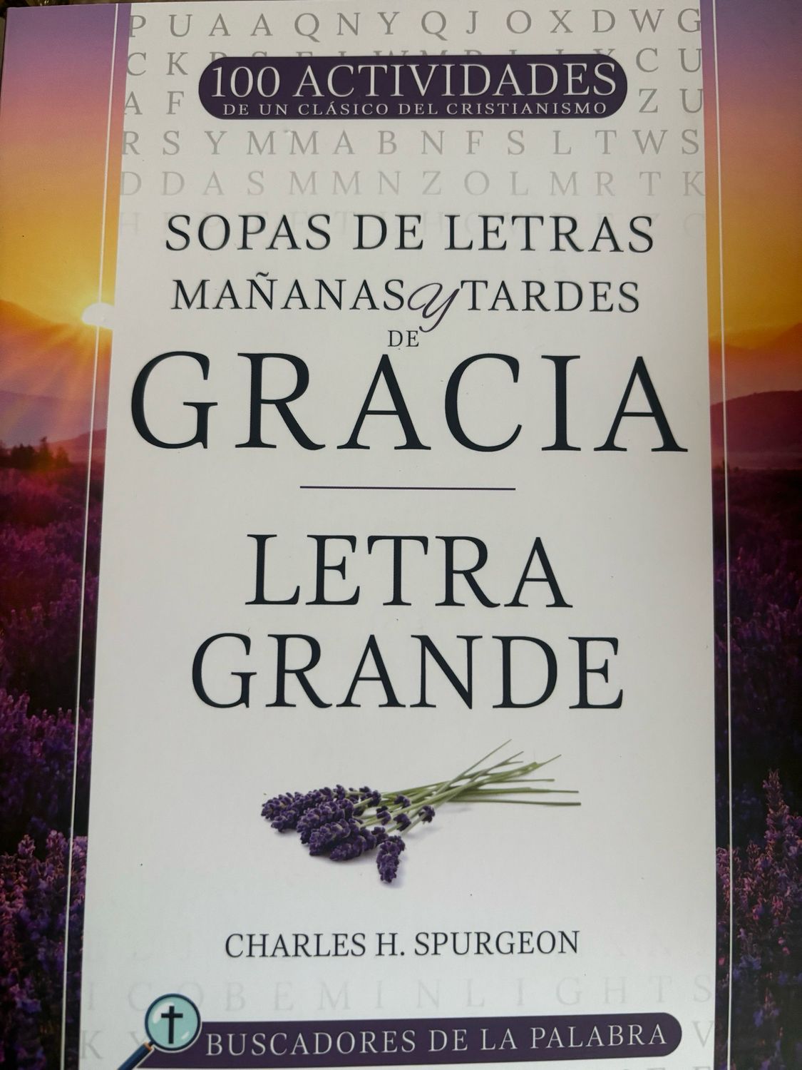 Sopa de letra Grande 