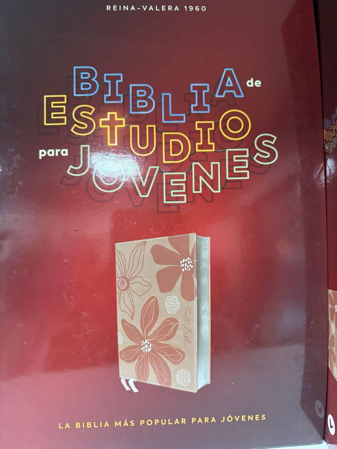 Biblia de Estudio Para Jóvenes 