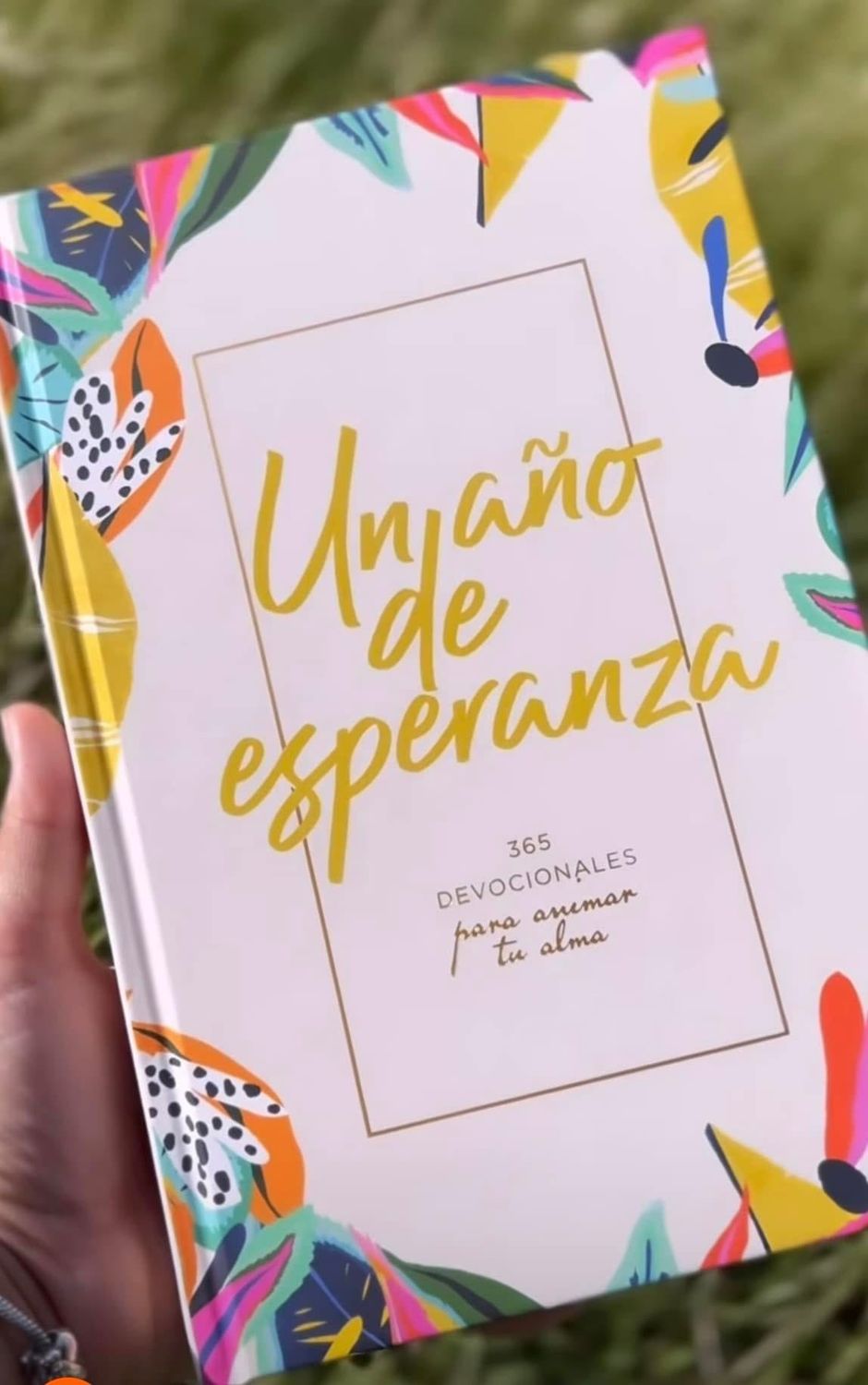 Un año de esperanza 