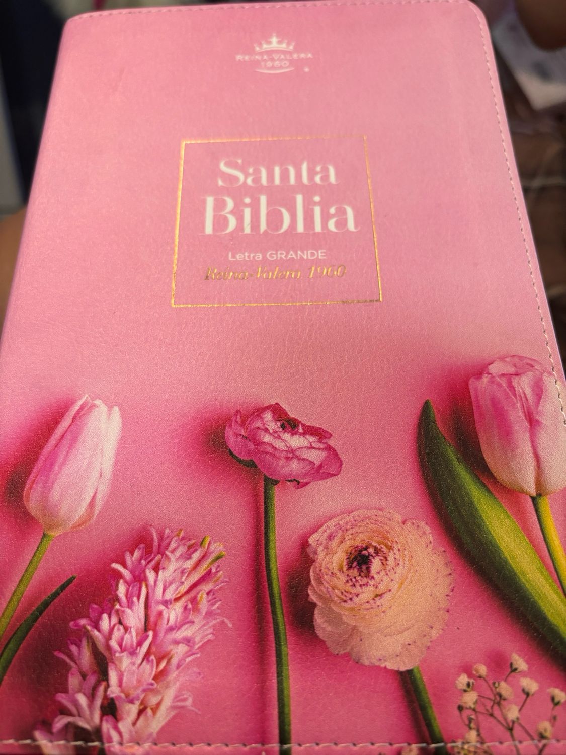 Biblia pompones rosa 