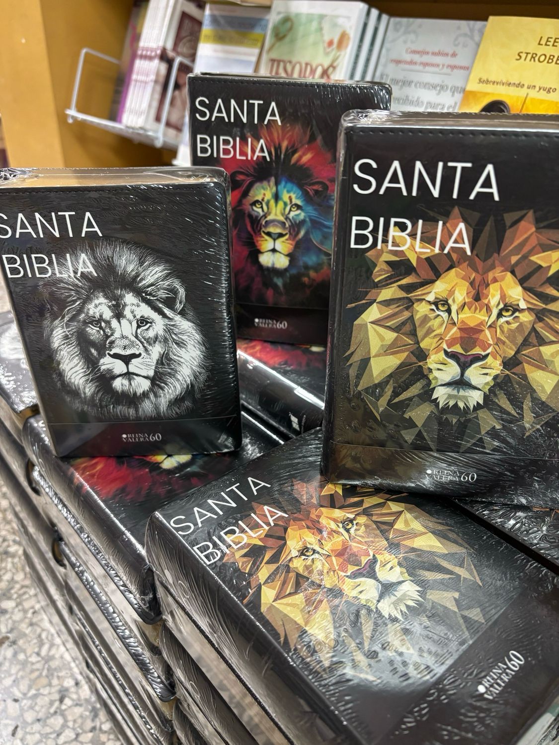 Biblia compacta de León letra 11 puntos 