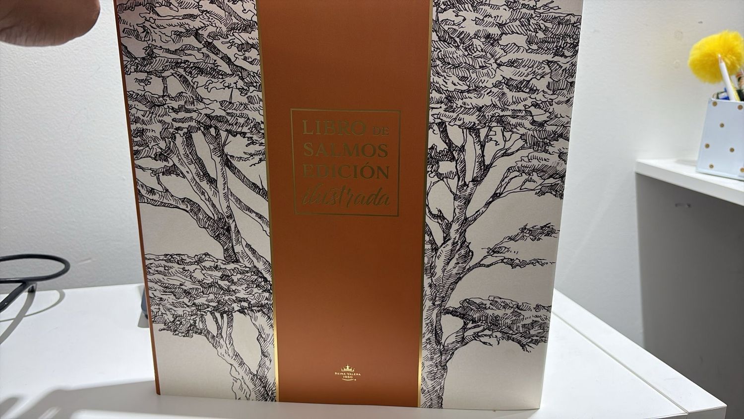 Biblia de Salmos y Proverbios