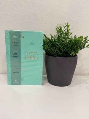 Biblia de mariposa Aqua