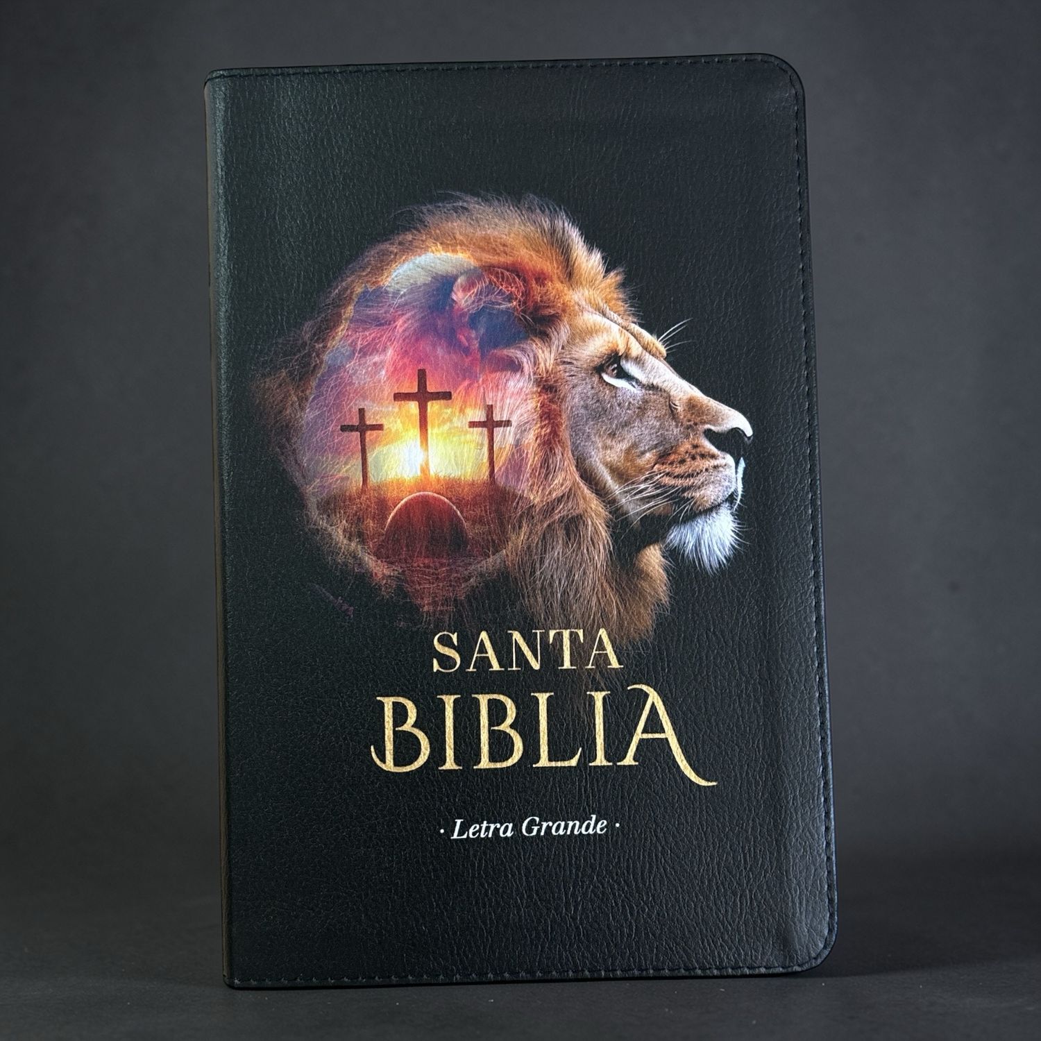 Biblia León Con Índice 
