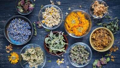 Organic Herbs