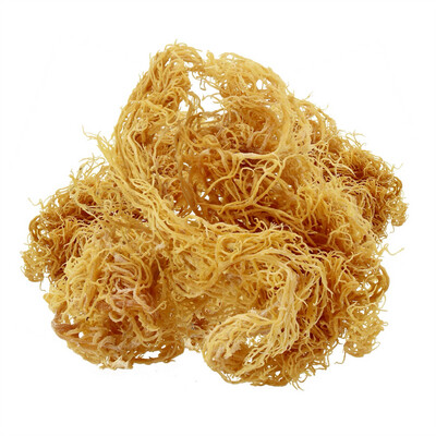 Wildcrafted Sea Moss (St. Lucia)