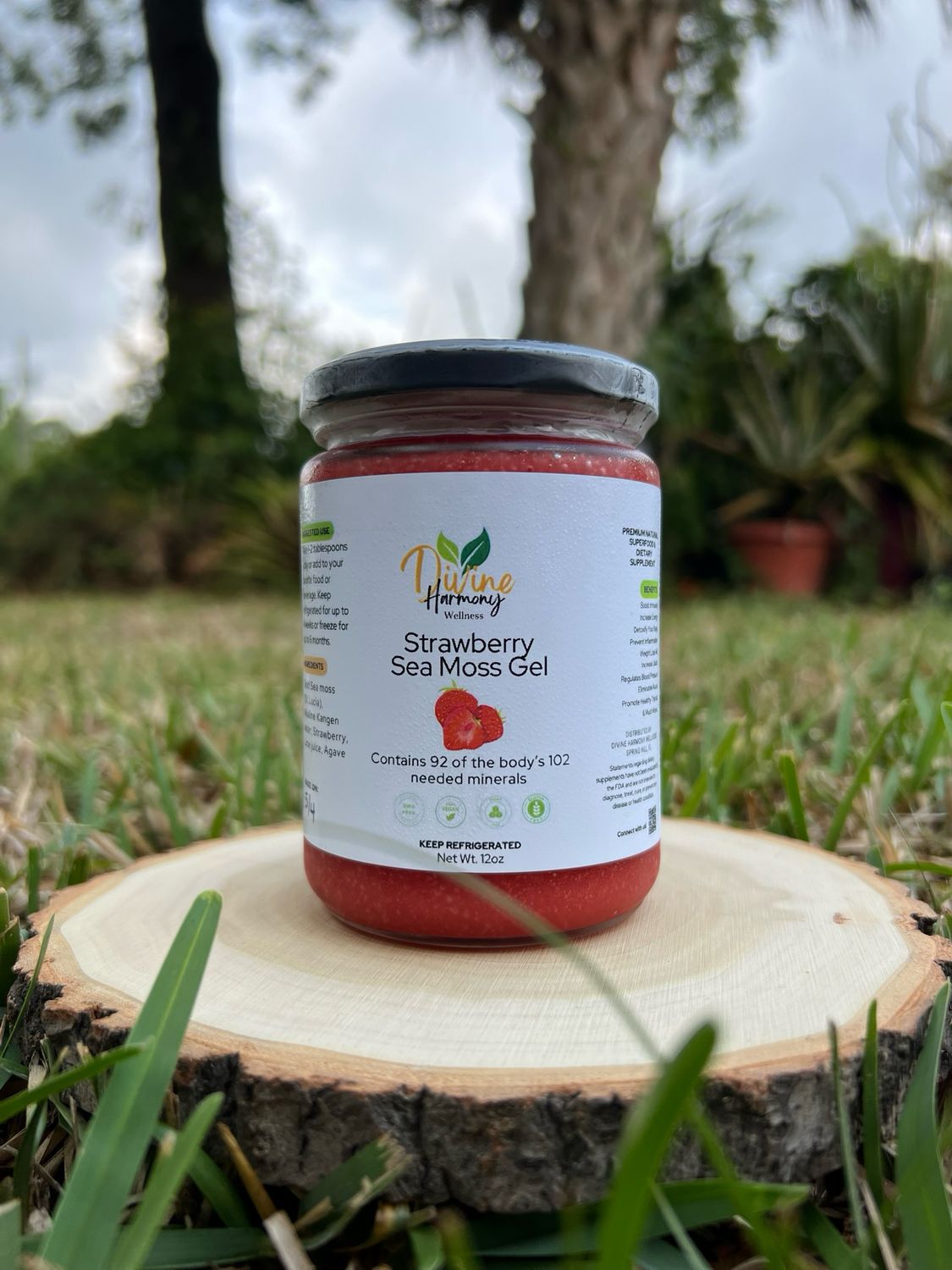 Strawberry Sea Moss Gel