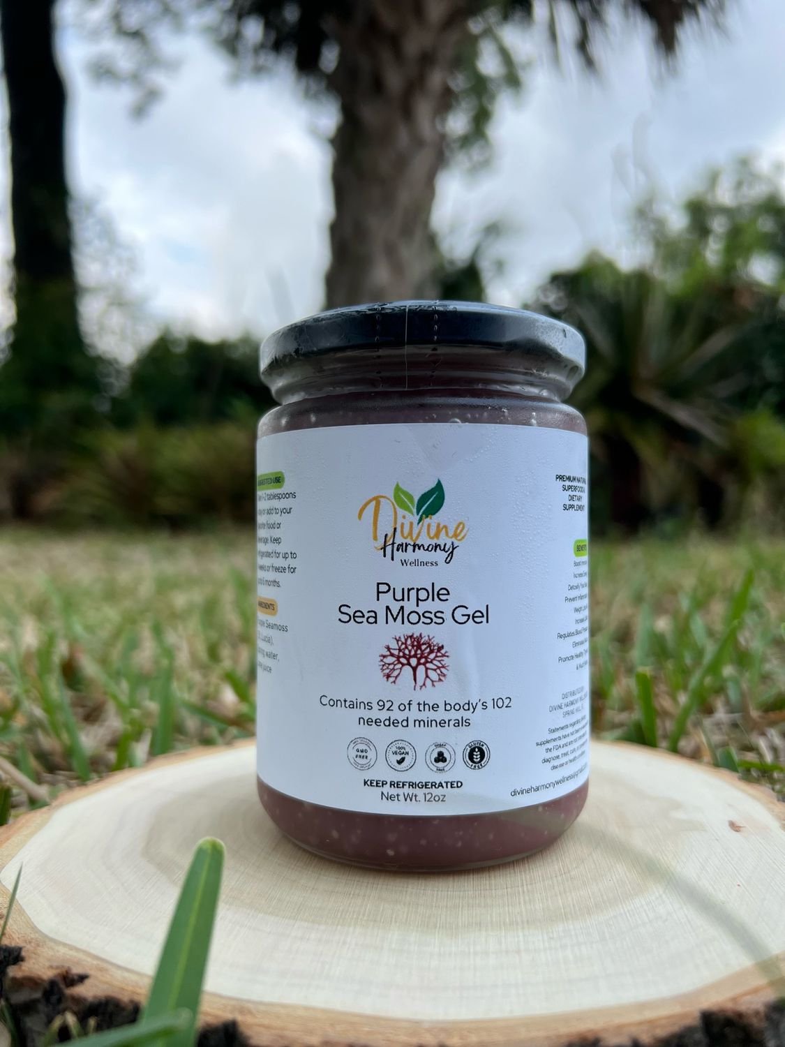 Raw Purple Sea Moss Gel