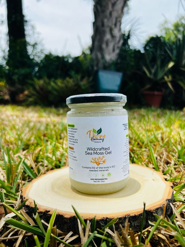 Raw Gold Sea Moss Gel