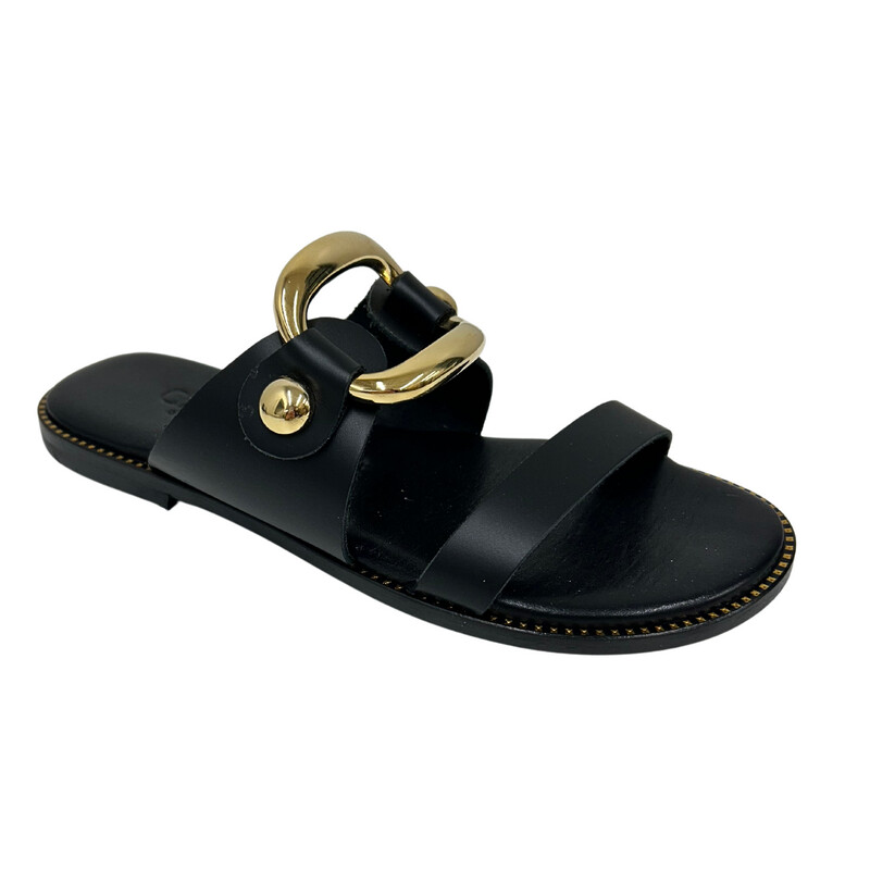 Angled front view of a flat black leather sandal.  One strap across front of foot and a wider strap with gold buckle detail across top of foot.