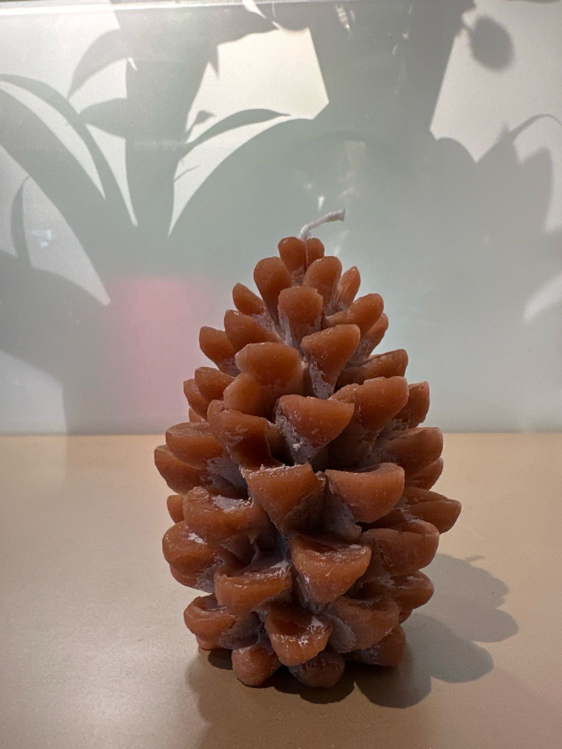 Dennenappel kaars bruin 12 cm